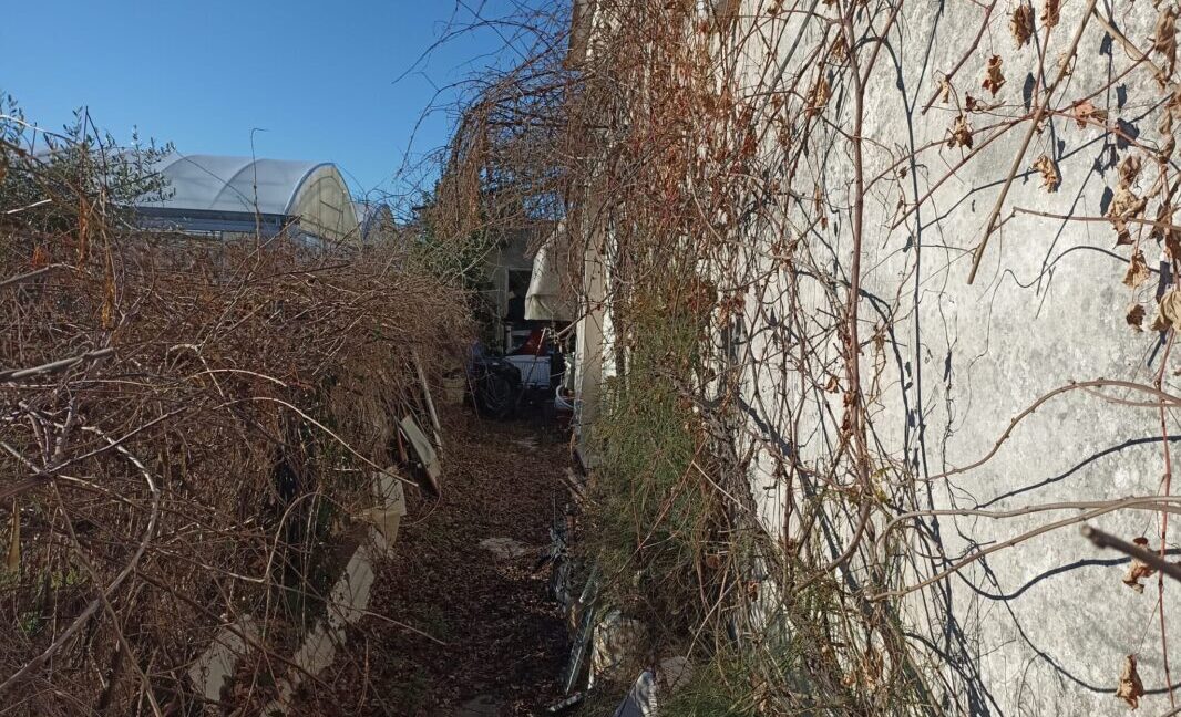 IMG-20250114-WA0043