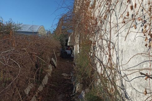 IMG-20250114-WA0043