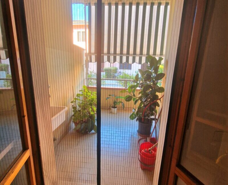IMG-20250807-WA0019