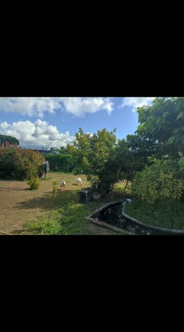 Screenshot_20260508_123410_WhatsApp